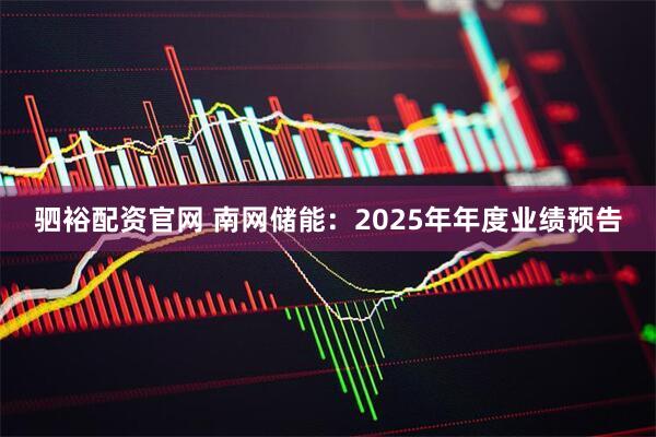 驷裕配资官网 南网储能：2025年年度业绩预告