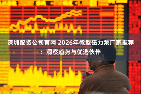 深圳配资公司官网 2026年微型磁力泵厂家推荐：洞察趋势与优选伙伴